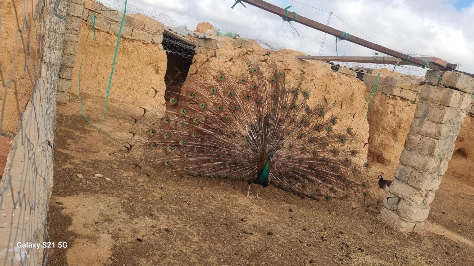 Maison D'Hote Dar Massouada Toujane المظهر الخارجي الصورة