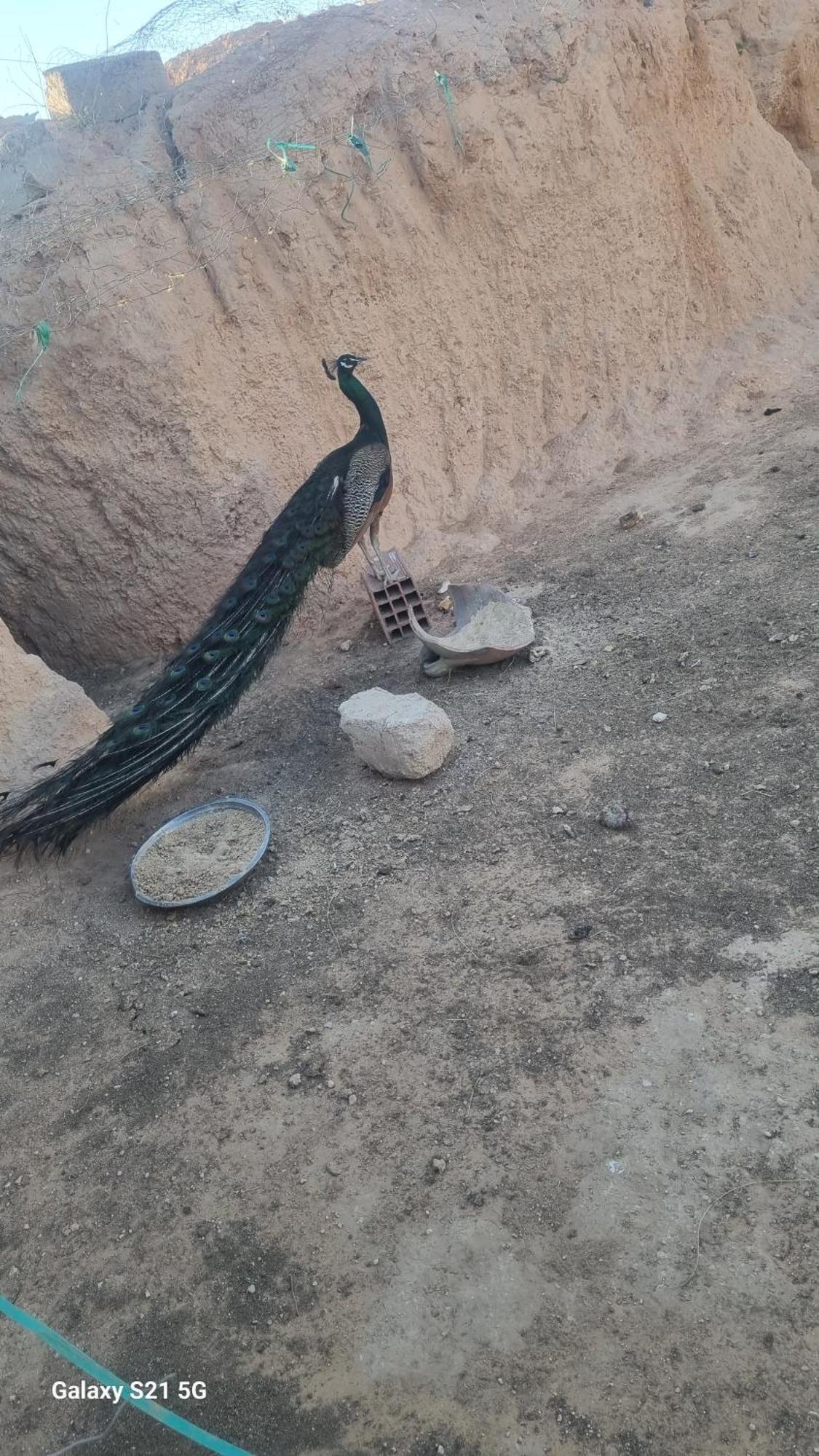 Maison D'Hote Dar Massouada Toujane المظهر الخارجي الصورة